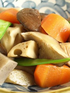 鶏肉と根菜の煮物-レシピのメイン写真