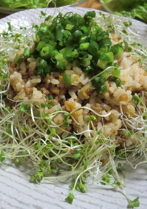 栄養満点！抗酸化対策！玄米納豆チャーハン-レシピのメイン写真