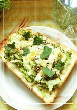 紫蘇香る❀せん切りキャベツトースト-レシピのメイン写真