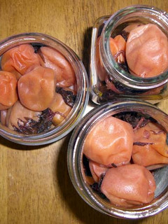 陳皮梅-レシピのメイン写真