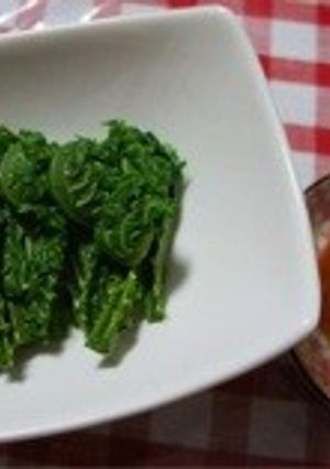 【十勝一年生】こごみの刺身-レシピのメイン写真