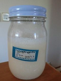酒粕酵母のおこしかた-レシピのメイン写真