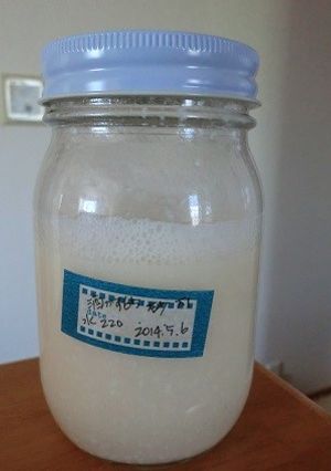 酒粕酵母のおこしかた-レシピのメイン写真