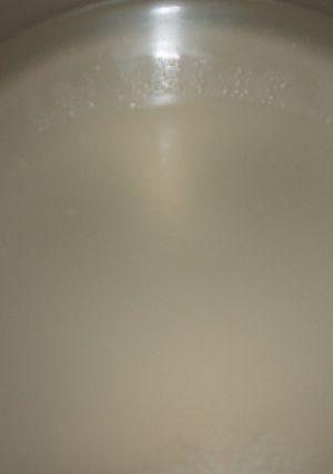 気軽にチキンストック-レシピのメイン写真