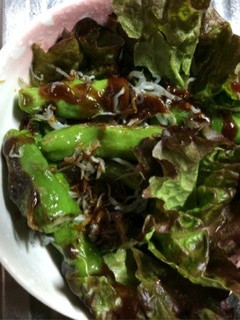 簡単ししとう味噌-レシピのメイン写真