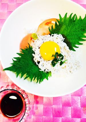 完成まで 5分かな？しらす丼です^ ^-レシピのメイン写真