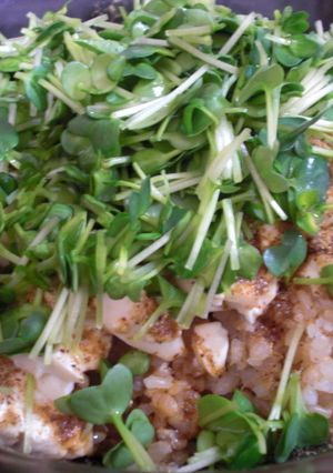 豆腐がカイワレでわしゃわしゃ丼-レシピのメイン写真
