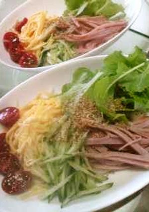 冷やし中華の具で☆野菜たっぷり冷麺-レシピのメイン写真
