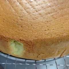รูปของ 抹茶の米粉スポンジケーキ
