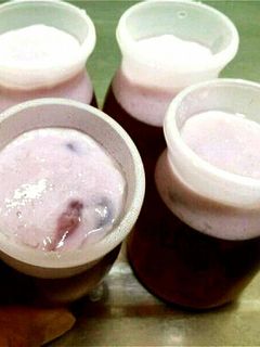 市販のヨーグルトゼリー-レシピのメイン写真