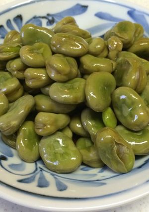 そら豆の煮物 〜覚書〜-レシピのメイン写真