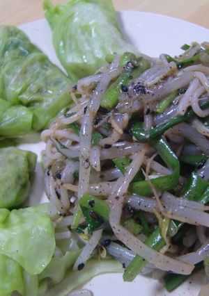 もやしとにらでロールピビン麺-レシピのメイン写真