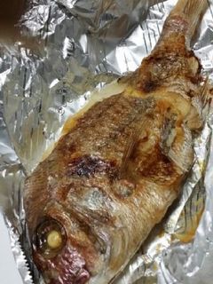 鯛(地鯛)の塩焼き-レシピのメイン写真