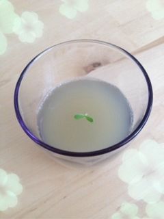 さっぱり♪簡単♪緑茶寒天ゼリー-レシピのメイン写真