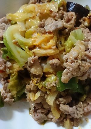 豚肉と野菜のピリ辛炒め-レシピのメイン写真