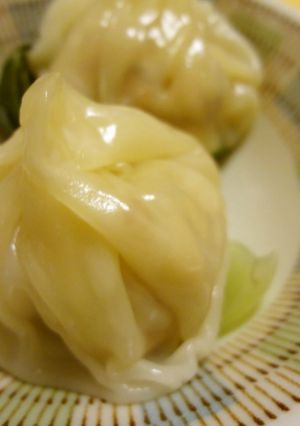 餃子の皮で簡単小籠包-レシピのメイン写真
