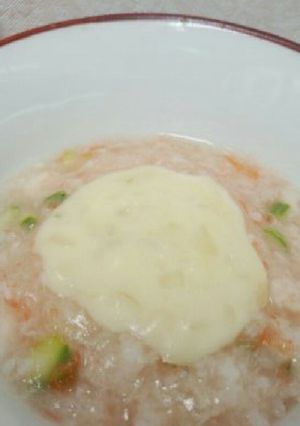 離乳食　小麦粉牛乳無しのホワイトソース-レシピのメイン写真