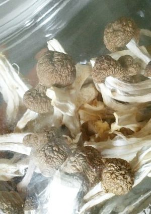 干し野菜☆干し網なし☆お手軽干ししめじ-レシピのメイン写真