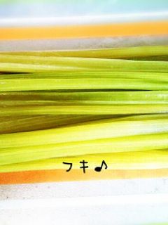 フキの下ごしらえ(*´∀`)♪-レシピのメイン写真