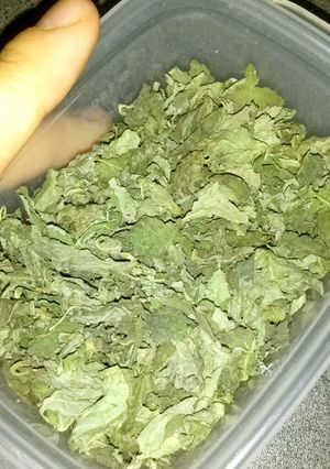 干し野菜☆干し網なし☆お手軽乾燥青じそ☆-レシピのメイン写真