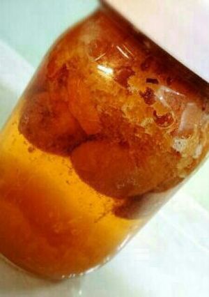 ●簡単●干しあんず酵母（酵素）♪-レシピのメイン写真
