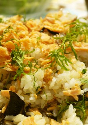 材料を工夫で時短☆鮭の簡単混ぜご飯-レシピのメイン写真