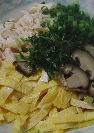 具だくさん冷麦-レシピのメイン写真