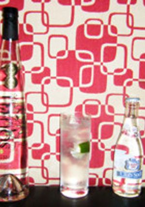 NZ産ジンリッキー-レシピのメイン写真