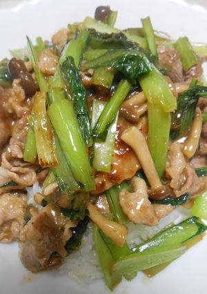 豚小間切れ肉と小松菜炒め・のせご飯-レシピのメイン写真