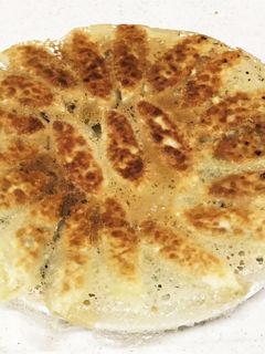 破れない!★円盤餃子!-レシピのメイン写真