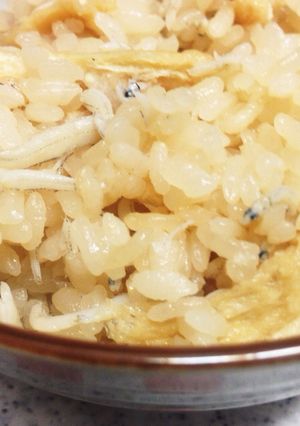 しらす炊き込みごはん-レシピのメイン写真