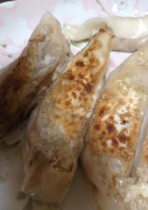 新玉ねぎとキャベツの餃子-レシピのメイン写真