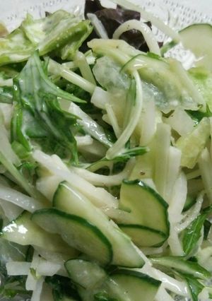 大根と水菜のマヨポンサラダ-レシピのメイン写真