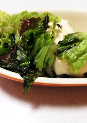 おつまみ豆腐サラダ-レシピのメイン写真