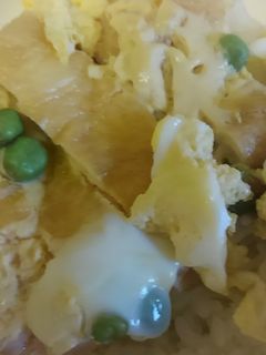 すし揚げ丼-レシピのメイン写真