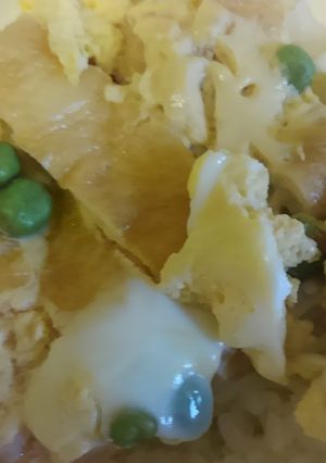すし揚げ丼-レシピのメイン写真