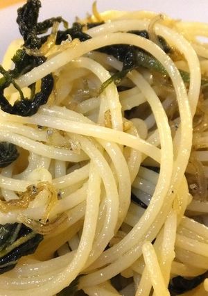 山うどとカリカリじゃこのパスタ-レシピのメイン写真