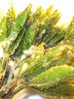 山菜の天ぷら コツ-レシピのメイン写真