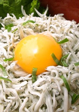 簡単　釜揚げ　しらす丼-レシピのメイン写真