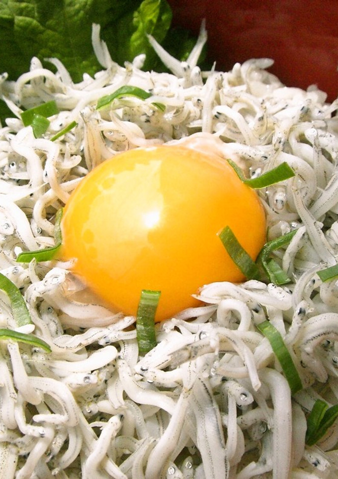 簡単　釜揚げ　しらす丼-レシピのメイン写真