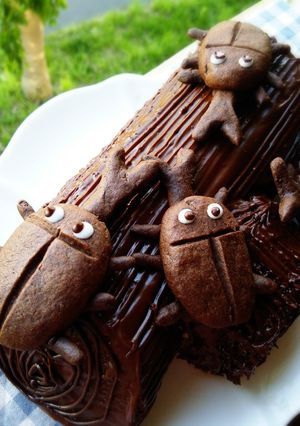 チョコロールケーキ❤ブッシュ･ド･ノエル-レシピのメイン写真