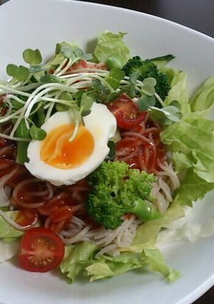 野菜たっぷりサラダ徳山ビビン麺-レシピのメイン写真
