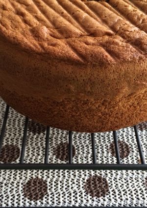 ココア スポンジケーキ-レシピのメイン写真