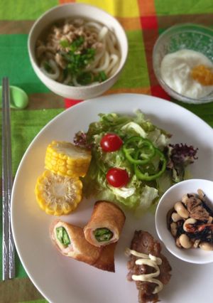 hanaさんちの ランチプレート♪-レシピのメイン写真