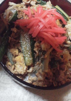 キュウリともやしのチャンプルー丼-レシピのメイン写真