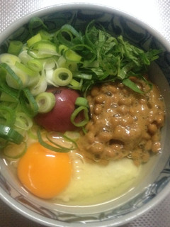 手軽で簡単!梅紫蘇ねばねば丼-レシピのメイン写真