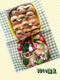 2014 遠足 お弁当-レシピのメイン写真