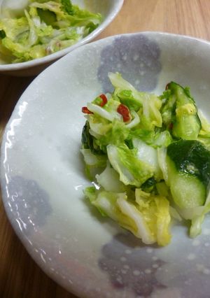 液体塩麹の浅漬け(白菜＆きゅうり)-レシピのメイン写真