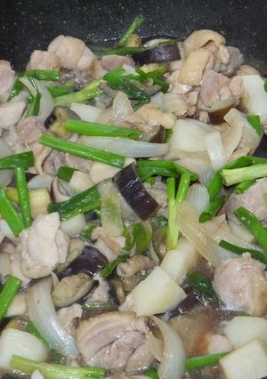 鶏肉とワケギとナスで炒め物・和風味-レシピのメイン写真