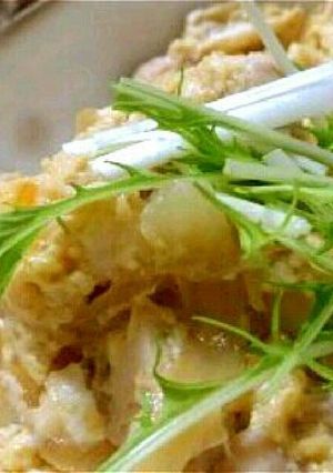 塩麹を使ったふわとろ卵の親子丼-レシピのメイン写真